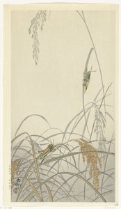 Sauterelles sur des plants de riz - Ohara Koson