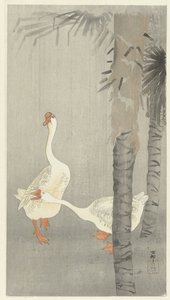 Oies domestiques sous la pluie - Ohara Koson