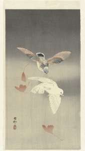 Deux pigeons avec des feuilles de ginkgo tombantes - Ohara Koson