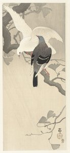 Deux pigeons sur une branche - Ohara Koson