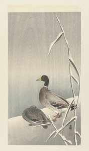Deux canards sur des roseaux enneigés - Ohara Koson