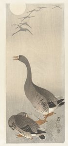 Deux oies - Ohara Koson