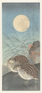 Deux cailles sous la pleine lune