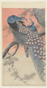 Deux paons sur une branche - Ohara Koson