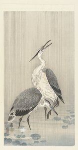 Deux hérons sous la pluie - Ohara Koson