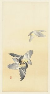 Deux oiseaux se battant - Ohara Koson