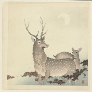 Deux cerfs - Ohara Koson