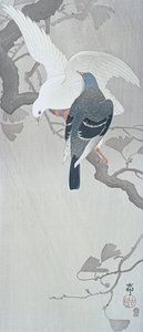 Deux colombes sous la pluie sur une branche de ginkgo - Ohara Koson