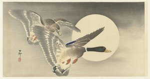 Deux canards avec pleine lune