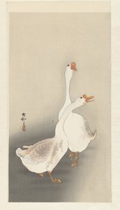 Deux oies - Ohara Koson