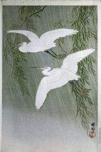 Deux hérons volant librement, 1907