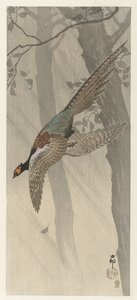 Faisan volant - Ohara Koson