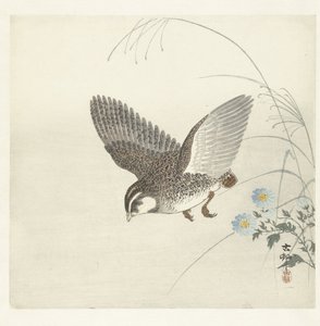 Caille volante - Ohara Koson