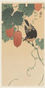 Oiseau et kaki