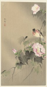 Oiseau et chenille
