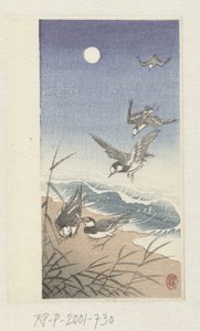 Oiseaux sous la pleine lune - Ohara Koson