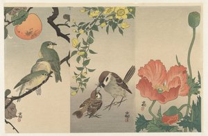 Oiseaux et plantes - Ohara Koson