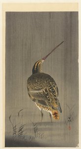 Bécassine sous la pluie - Ohara Koson