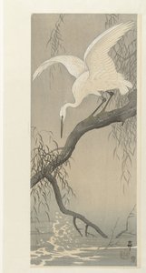Héron blanc sur une branche d