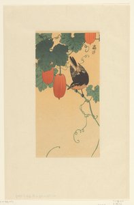 Oiseau chanteur sur une plante avec des fruits rouges