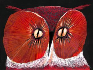Chouette rouge intense - Olga Skomorokhova