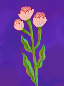 Trio floral éclatant - Olga Skomorokhova