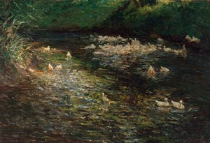 Étang aux canards - Olga Wisinger Florian