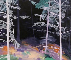 Forêt-noire 5 - Olivier Morel