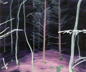Forêt-noire 6 - Olivier Morel
