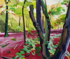 Forêt 16 - Olivier Morel