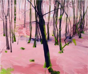 Forêt 30