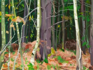 Forêt 7 - Olivier Morel