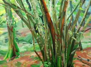 Forêt 8 le-9-janvier-2015