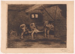 Trois vaches dans une étable, vues de dos