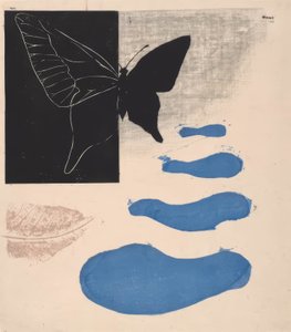 Poème n° 8 : La saison des papillons