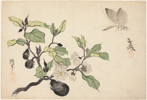 Aubergines avec fruits et fleurs - Onishi Chinnen