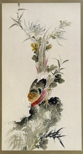 Faisan - aquarelle par Onishi Keisaie - Onishi Keisai