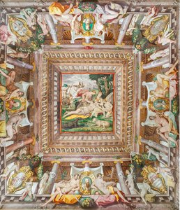 Vue du plafond de la Salle d