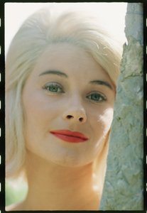 Gros plan de Hope Lange