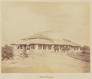 Bungalow du planteur