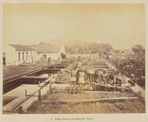 Usine Indigo (Chargement des cuves) - Oscar Mallitte