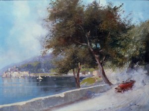 Course sur le lac - Oscar Ricciardi