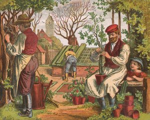 Jardinage, 1871