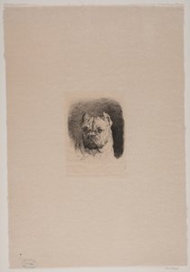 Une tête de chien - Otto Bache