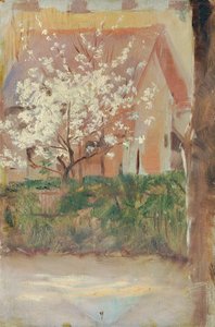 Arbre à fleurs blanches dans le jardin de devant - Otto Friedrich