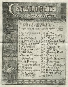 Catalogue, 1878 - Otto H. Bacher