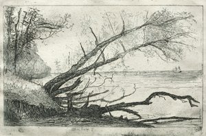 Vieux sycomore, 1877 - Otto H. Bacher
