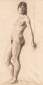 Modèle nu debout