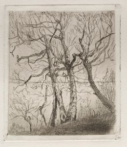 Bois près du lac, 1878 - Otto H. Bacher