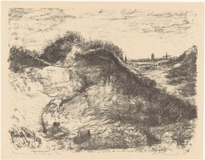 Dunes à Ameland